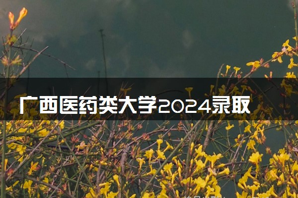 广西医药类大学2024录取分数线是多少 什么学校好