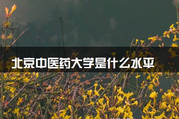 北京中医药大学是什么水平 好不好考