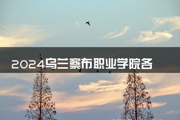 2024乌兰察布职业学院各省录取分数线是多少 最低分及位次