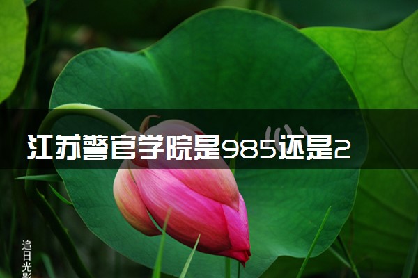 江苏警官学院是985还是211 含金量怎么样
