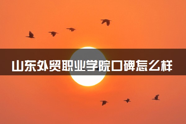 山东外贸职业学院口碑怎么样 学校好不好