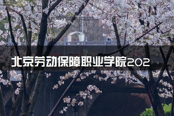 北京劳动保障职业学院2024各省录取分数线及最低位次是多少