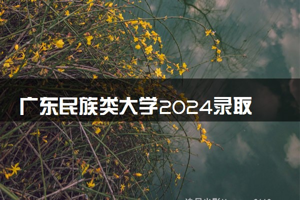 广东民族类大学2024录取分数线是多少 什么学校好
