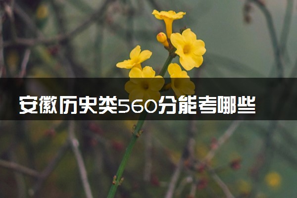 安徽历史类560分能考哪些大学 2025考生稳上的大学名单