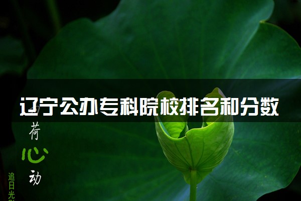 辽宁公办专科院校排名和分数线多少（2025年参考）