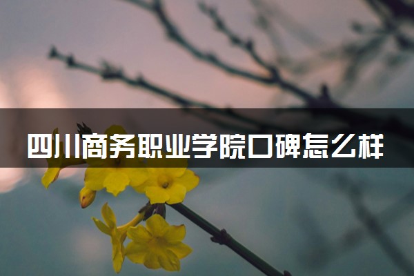 四川商务职业学院口碑怎么样 学校好不好