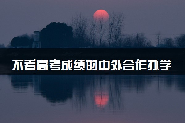 不看高考成绩的中外合作办学的院校有哪些 读完有用吗
