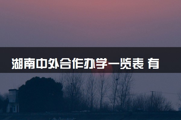 湖南中外合作办学一览表 有哪些专业可以选择