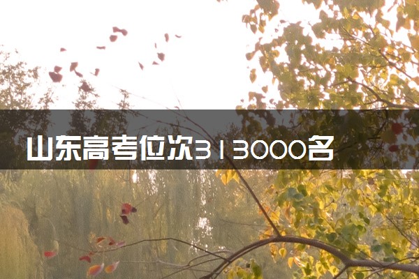 山东高考位次313000名左右报什么大学好（2025年参考）