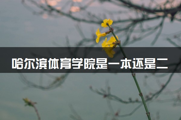 哈尔滨体育学院是一本还是二本 算好大学吗