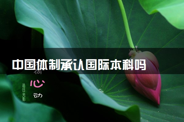中国体制承认国际本科吗 ‌有哪些优势