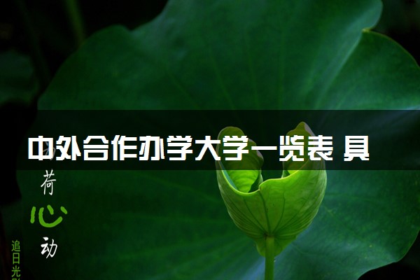 中外合作办学大学一览表 具体详细名单一览