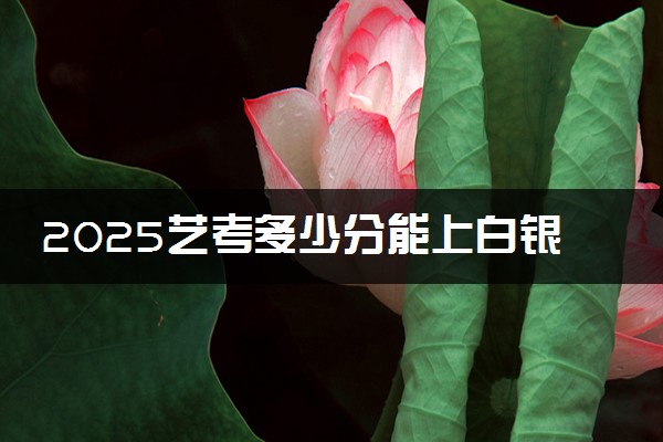 2025艺考多少分能上白银希望职业技术学院 最低分数线是多少