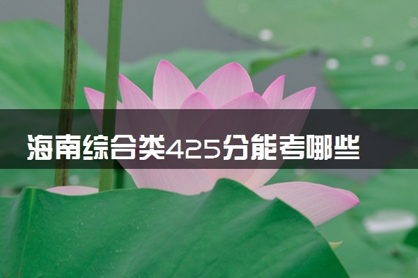 海南综合类425分能考哪些大学 2025考生稳上的大学名单