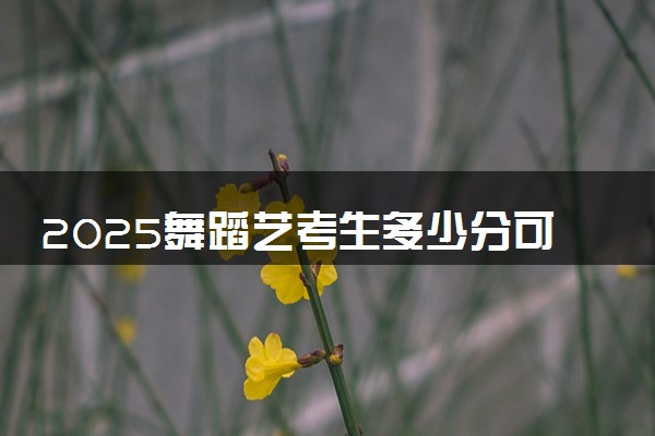 2025舞蹈艺考生多少分可以报武汉电力职业技术学院
