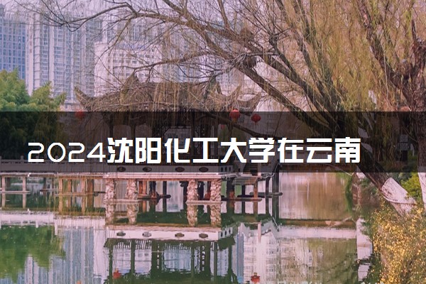 2024沈阳化工大学在云南录取分数线 各专业分数及位次