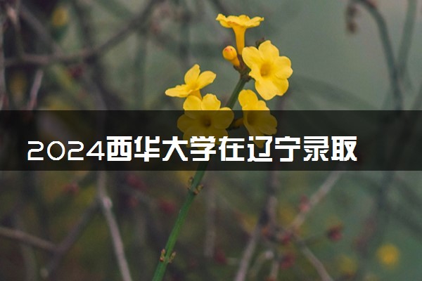 2024西华大学在辽宁录取分数线 各专业分数及位次
