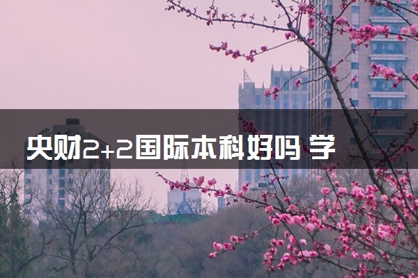 央财2+2国际本科好吗 学历认可吗