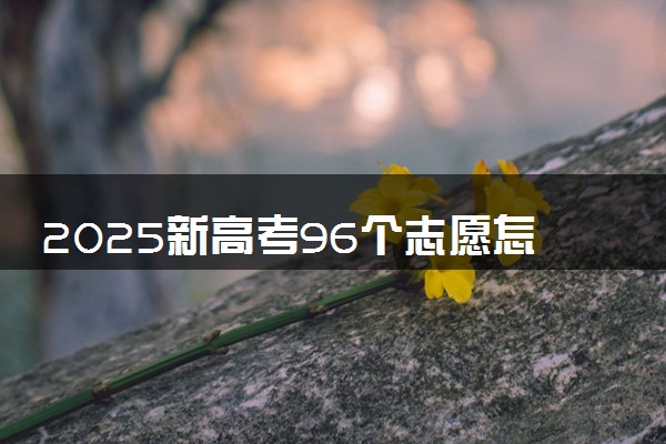 2025新高考96个志愿怎么填报 如何报考合理