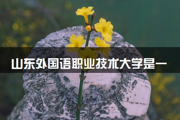 山东外国语职业技术大学是一本还是二本 算好大学吗