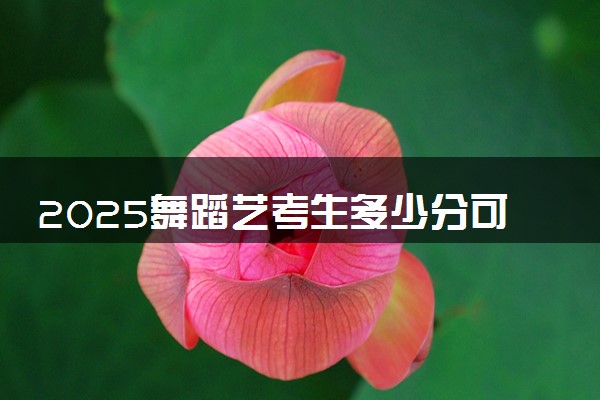 2025舞蹈艺考生多少分可以报天津轻工职业技术学院