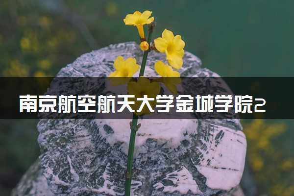 南京航空航天大学金城学院2024年各省录取分数线 多少分能考上