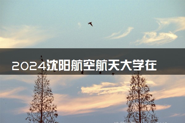 2024沈阳航空航天大学在湖南录取分数线 各专业分数及位次
