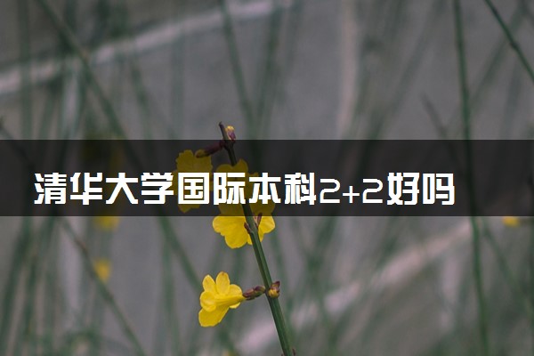 清华大学国际本科2+2好吗 值不值得读