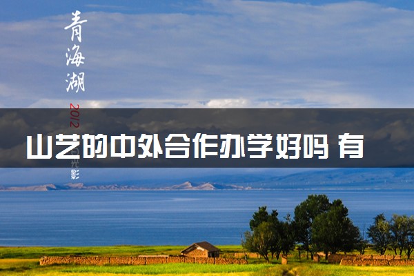 山艺的中外合作办学好吗 有必要去韩国吗