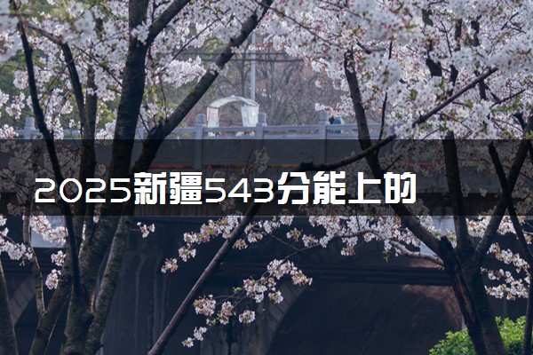 2025新疆543分能上的大学有哪些 可以报考院校名单