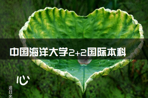 中国海洋大学2+2国际本科咋样 值得上吗