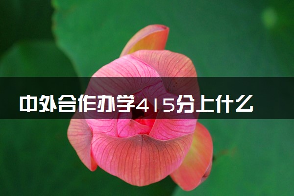 中外合作办学415分上什么学校 400多分算高吗