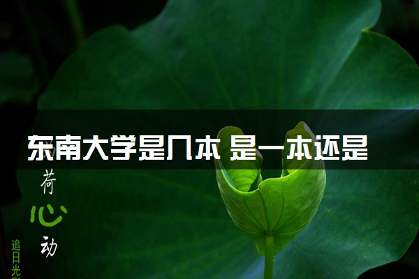 东南大学是几本 是一本还是二本大学