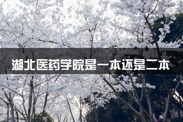 湖北医药学院是一本还是二本 算好大学吗