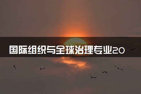 国际组织与全球治理专业2024年大学排名 最好的大学排行榜