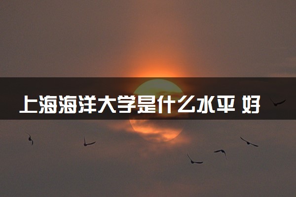 上海海洋大学是什么水平 好不好考
