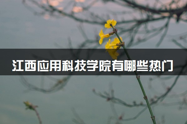 江西应用科技学院有哪些热门专业 推荐的王牌专业