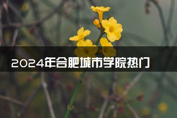2024年合肥城市学院热门专业全国排名 有哪些专业比较好