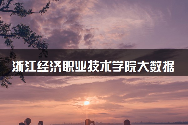 浙江经济职业技术学院大数据与会计专业怎么样 录取分数线多少