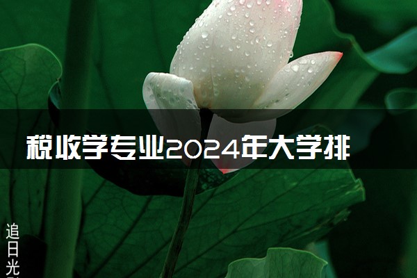 税收学专业2024年大学排名 最好的大学排行榜