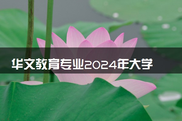 华文教育专业2024年大学排名 最好的大学排行榜