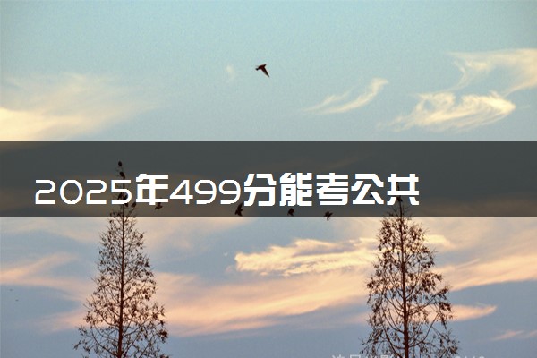 2025年499分能考公共事业管理专业吗 499分公共事业管理专业大学推荐