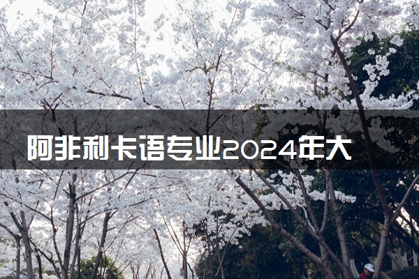 阿非利卡语专业2024年大学排名 最好的大学排行榜