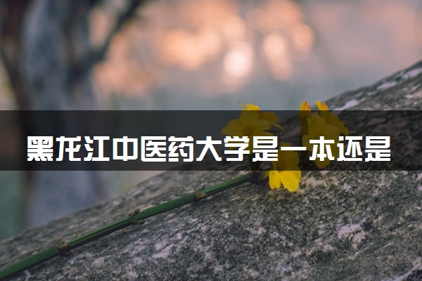 黑龙江中医药大学是一本还是二本 算好大学吗