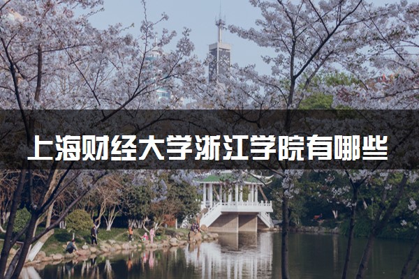 上海财经大学浙江学院有哪些热门专业 推荐的王牌专业