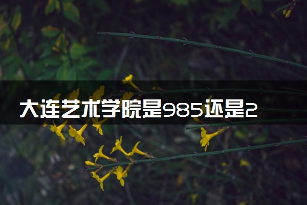 大连艺术学院是985还是211 含金量怎么样