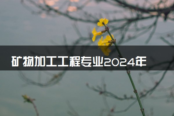 矿物加工工程专业2024年大学排名 最好的大学排行榜