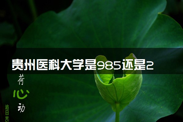 贵州医科大学是985还是211 含金量怎么样