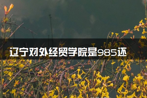 辽宁对外经贸学院是985还是211 含金量怎么样