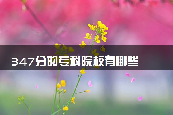 347分的专科院校有哪些 值得报考的院校推荐
